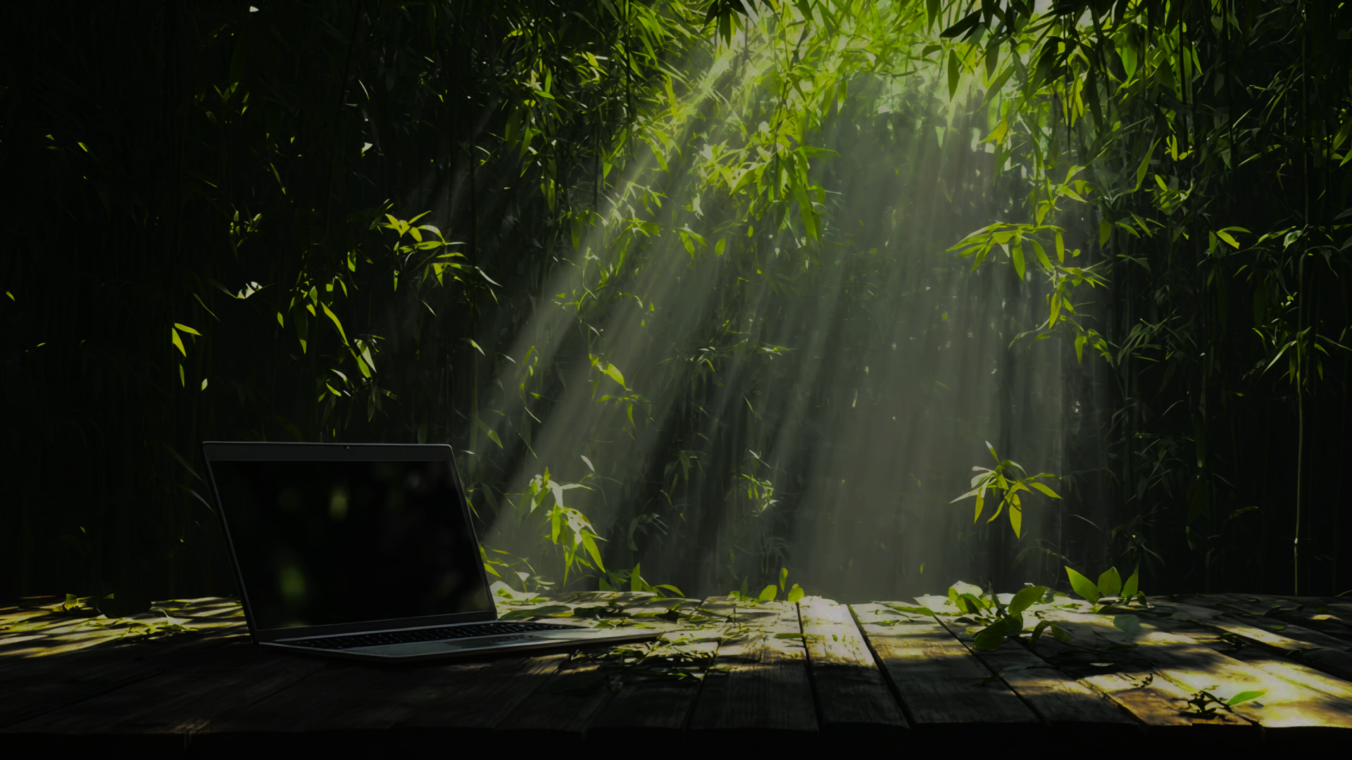 Background floresta tropical